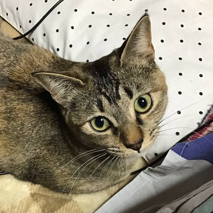 68fb8efa 33aa 4943 9b07 28bf752fe24f 1582712203970