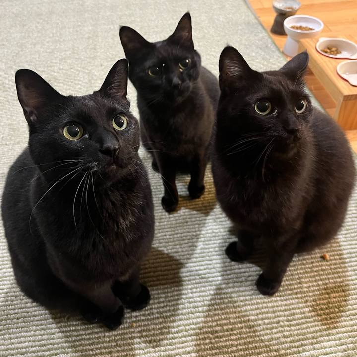 68fb90a4 be90 4b12 98df 338ecd313474 1739705714300