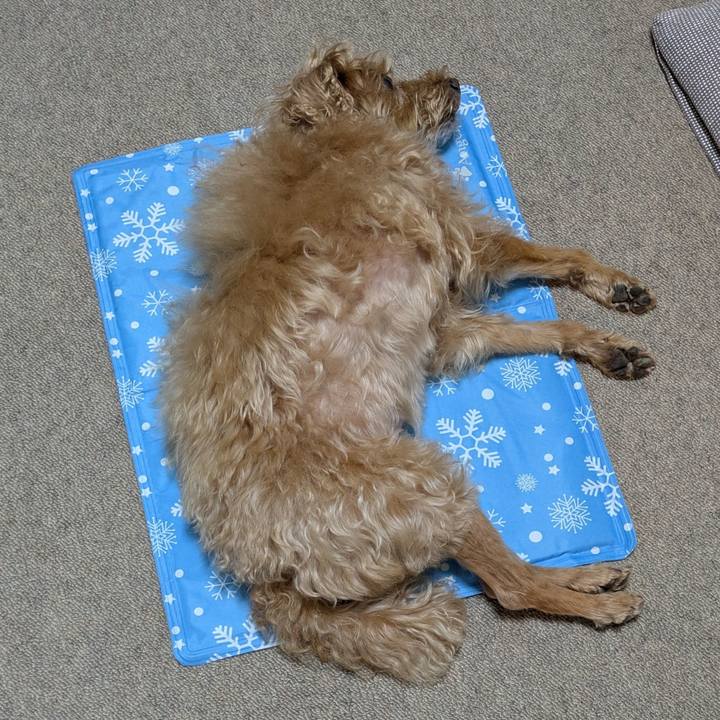 68fbf64f 6090 431b b7d8 7d90a7aea83b 1752790850901