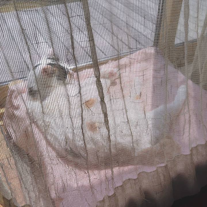 68fc1170 76e0 4254 a02b 57404c3923ec 1747712720205