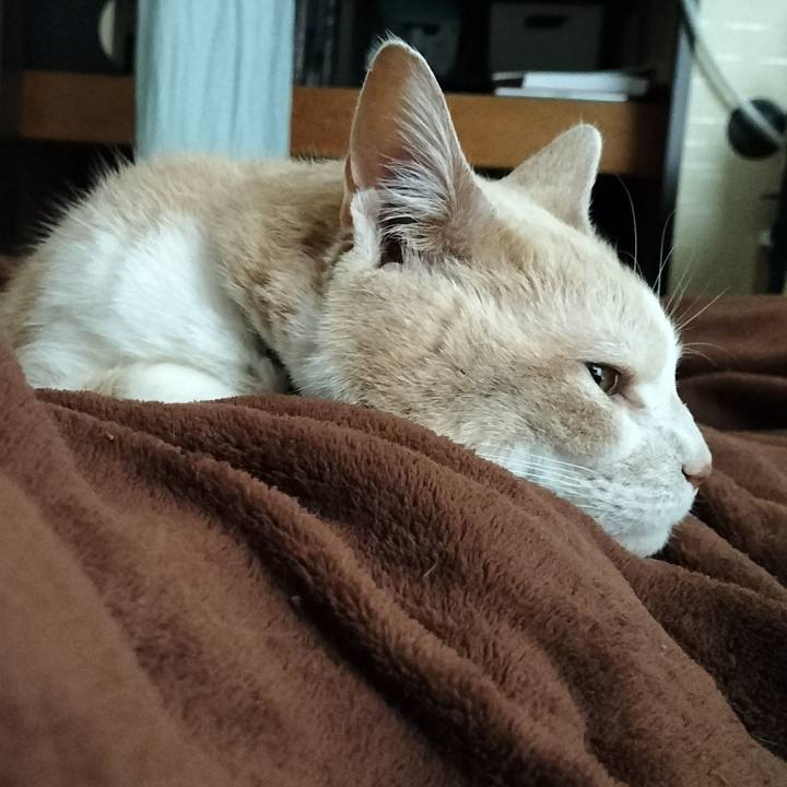 68fc5523 43f6 4413 8da6 6171a02cda39 1644020238194