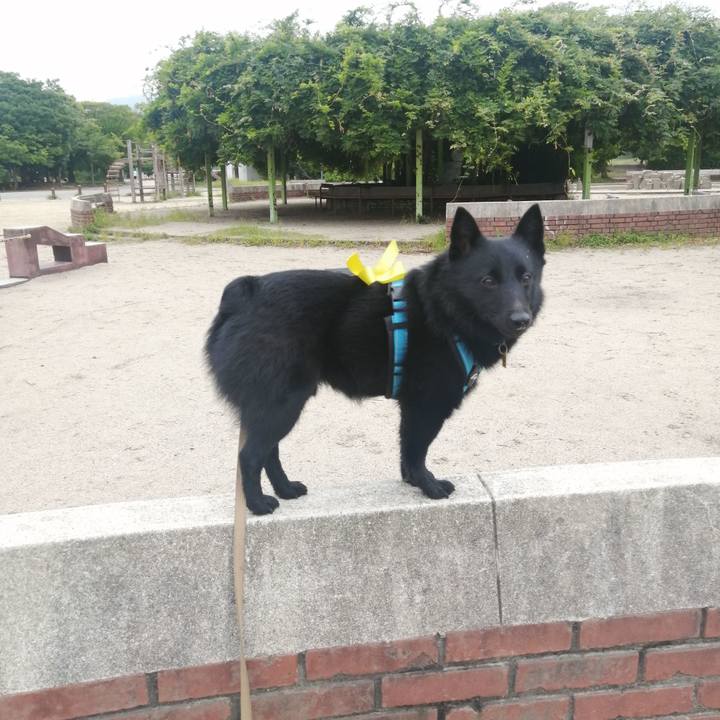 68fc6c18 2308 467a b29d 49c8f83ffc14 1659734735385