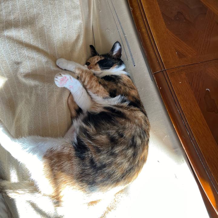 68fc829e d8ec 42e3 bd1f b6e601b43713 1705194072191