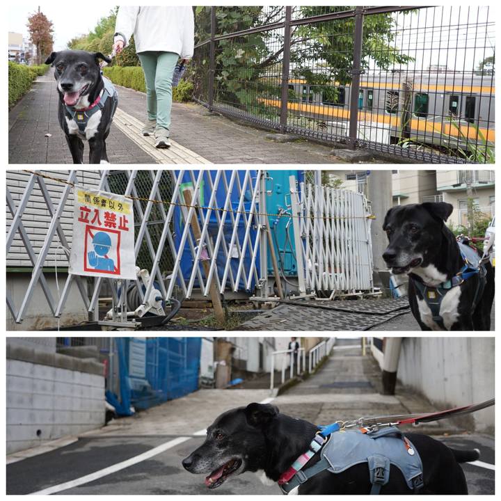 68fc9700 c0da 4ae3 a7b2 f0f3127396b3 1761181281183