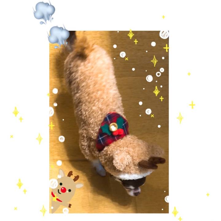 68fcf2c9 528d 4050 8191 00c0f09b375b 1514115819802