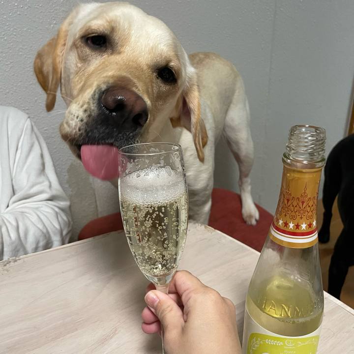 68fd06cc 48f0 4b16 9806 27b92ded50f4 1672230276070