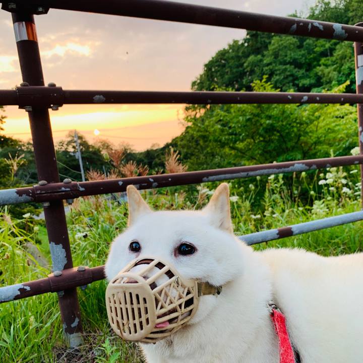 68fd098f d5a5 439f 8de9 3757596d64ab 1597784563056