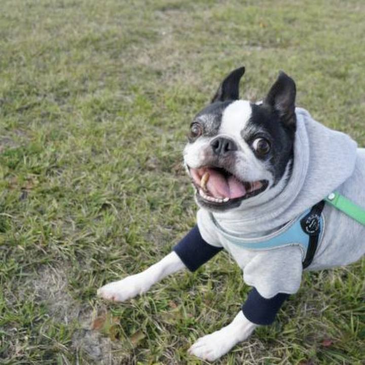 68fd600e e9c6 4f24 8cda e40ce4e4a960 1545654169218