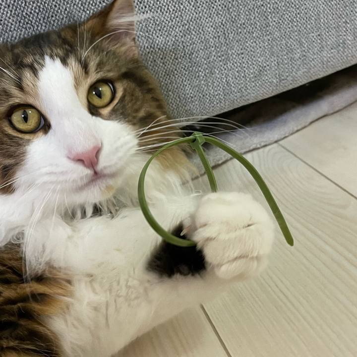 68fda4dc 8721 4941 8fda 873618944c84 1646904100519