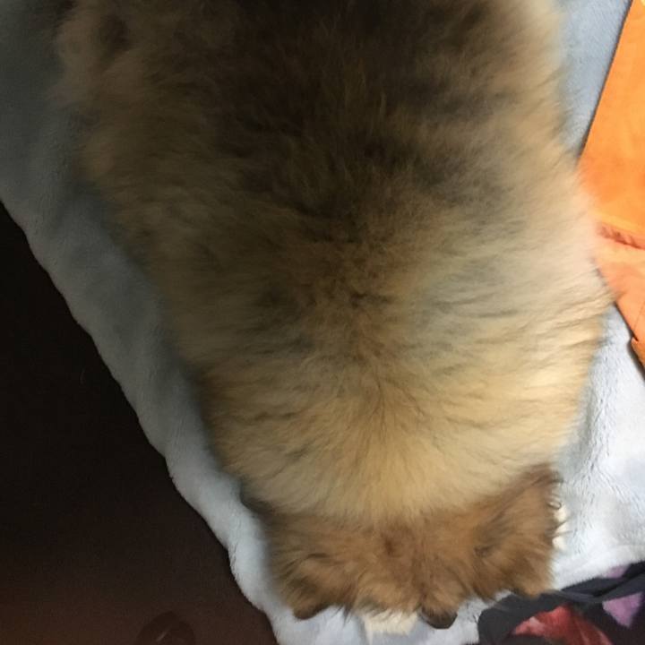 68fdc4a1 db78 4ffb 90d5 579487a222b7 1608771890152