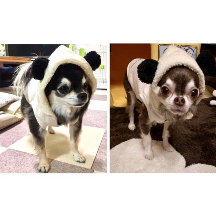 68fdf54d ecb5 4ccb 9932 8c0244dff7f9 1544858165401