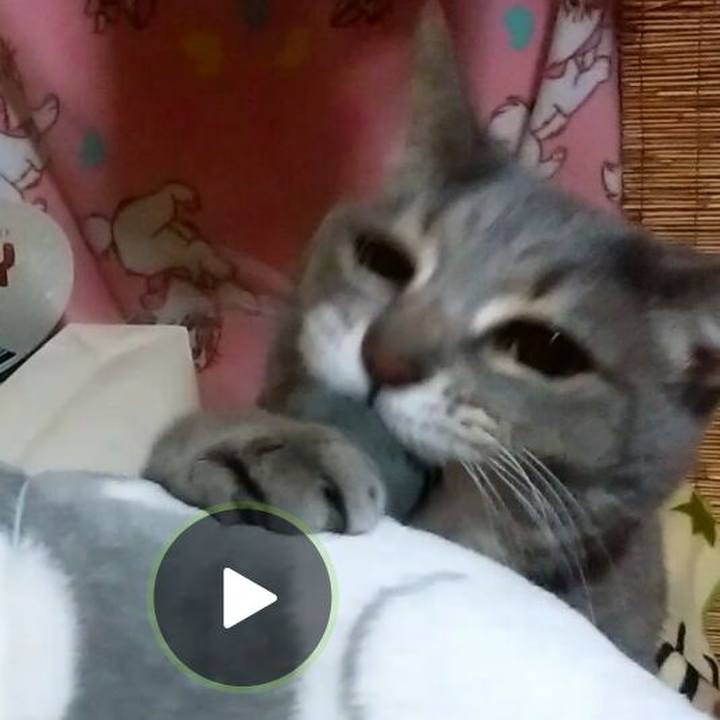 68fe23b2 05ab 4d49 bc3b c73703e0e6c9 1520341302435