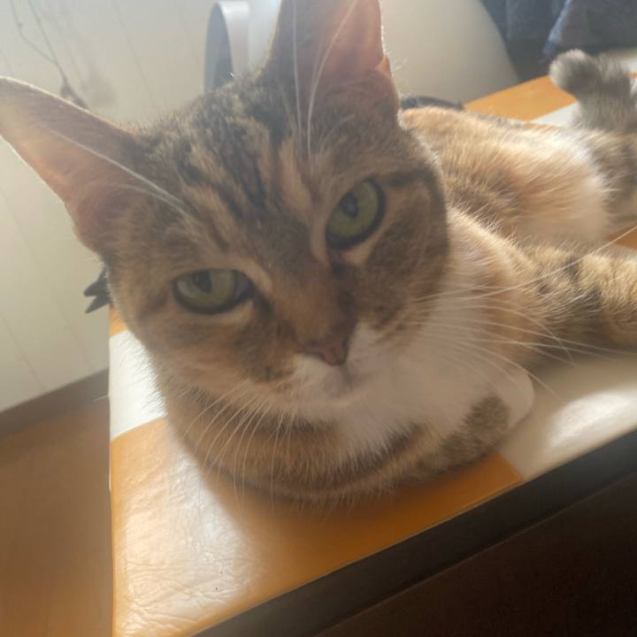 68fe2a82 2bc7 4fb2 b2a4 b7279166780c 1746334671684