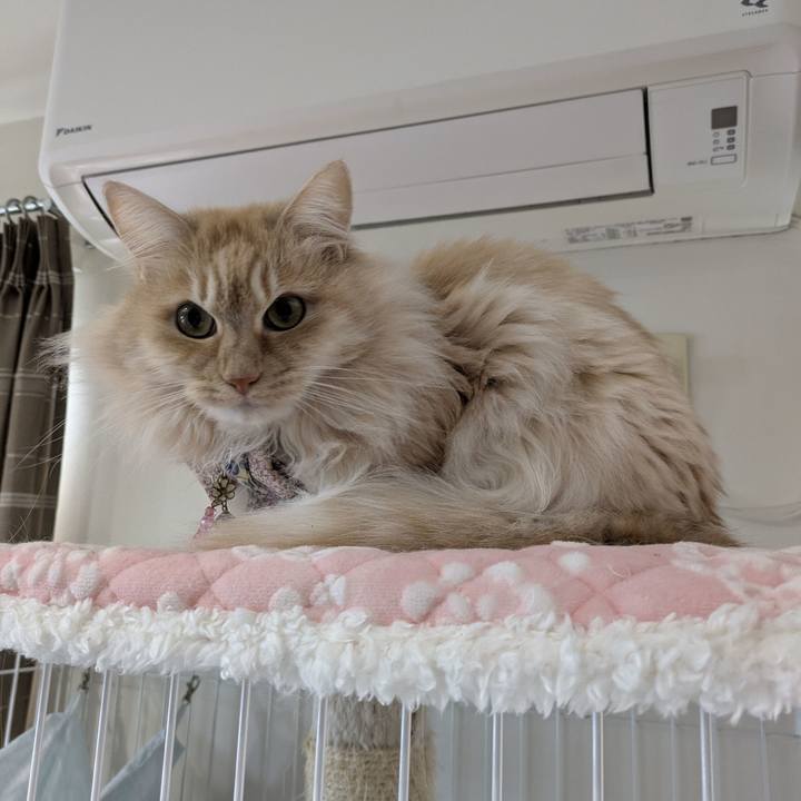 68fe40e2 d100 4393 ade0 45b5e60c7b9a 1772865328453