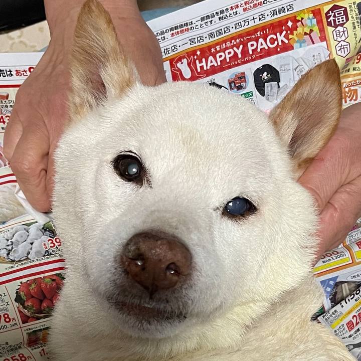 68fe5132 0f80 4e4e a89f d3446a19ee73 1672858469739