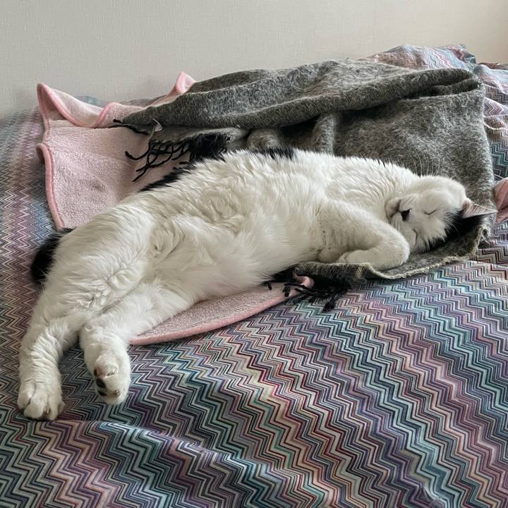 68fe60af 85c2 47e9 9103 b427bbbfa74d 1673393372649