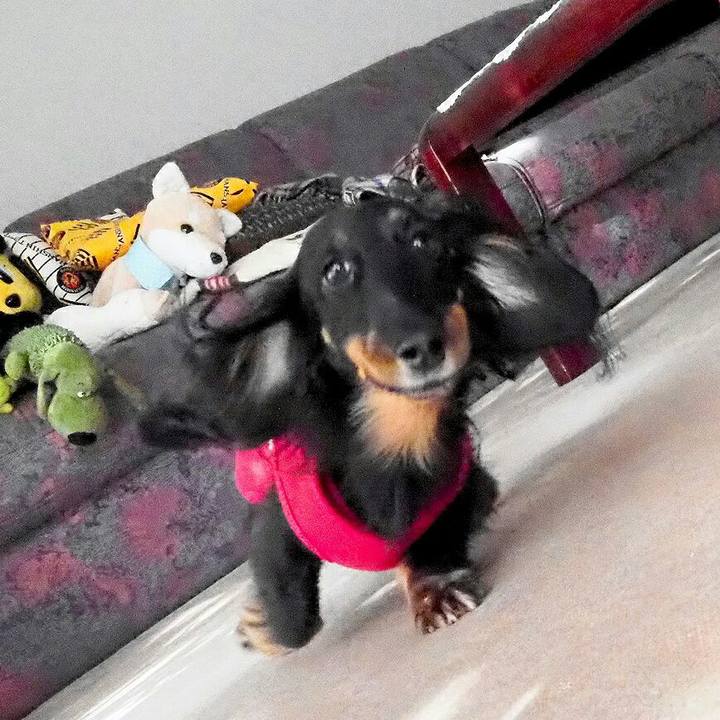 68fe7202 c0ef 4ecd a548 48d63318426e 1545706400667