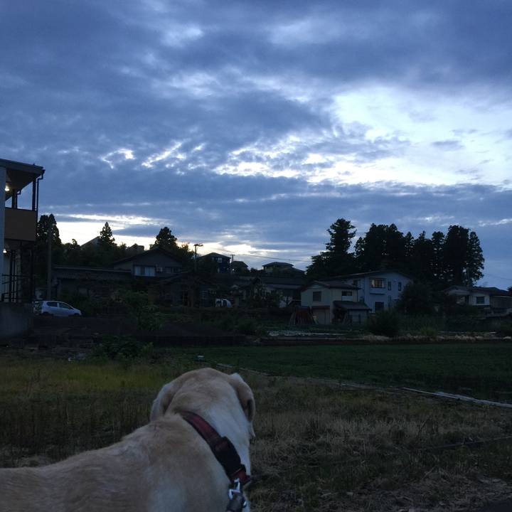 68fea31a a4f5 48ef b6d8 672ea82218f2 1530185154376