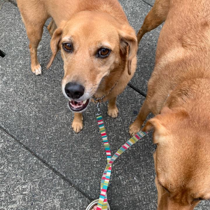 68ff01f2 d286 452d 9304 ae3438827de9 1570060648531