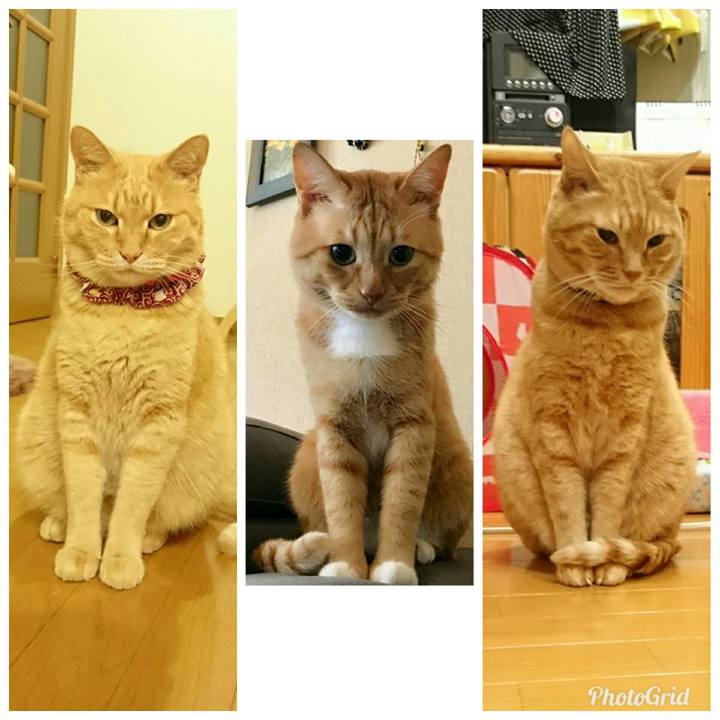 68ff12d0 ec76 4c77 8bd7 43a908a6ac0a 1536468788455