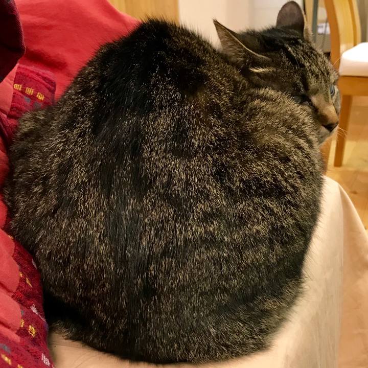 68ff64f3 cfe0 4148 85c2 749f83a0cc02 1517122364832