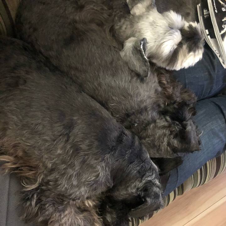 68ff7212 9187 406b a754 5027fc5dac0a 1519625429408