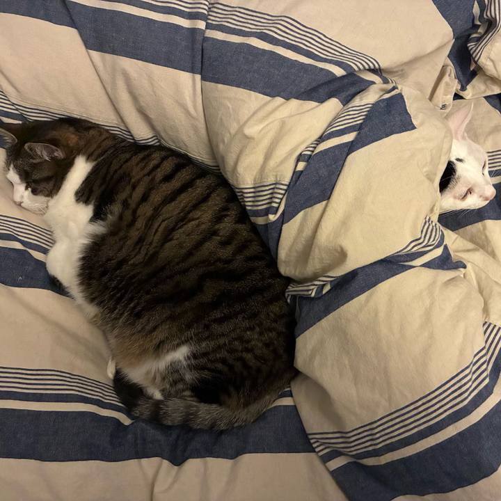 68ff75e9 9c27 41b5 80fb 02174708ea3e 1763541518667