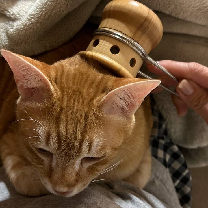 68ffa7e2 c4bf 47fa aa56 54446046925d 1678049625323