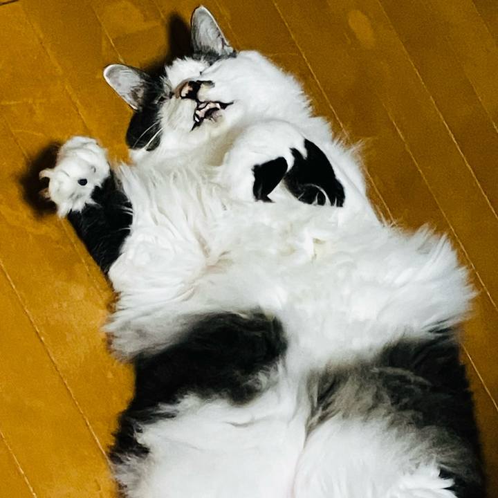 68ffac5c 65ca 4148 801d 0bb7d9df571b 1756002222735