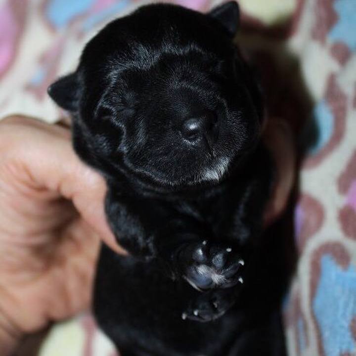 690005d4 7681 4130 be49 e09980eeef3f 1522236290084