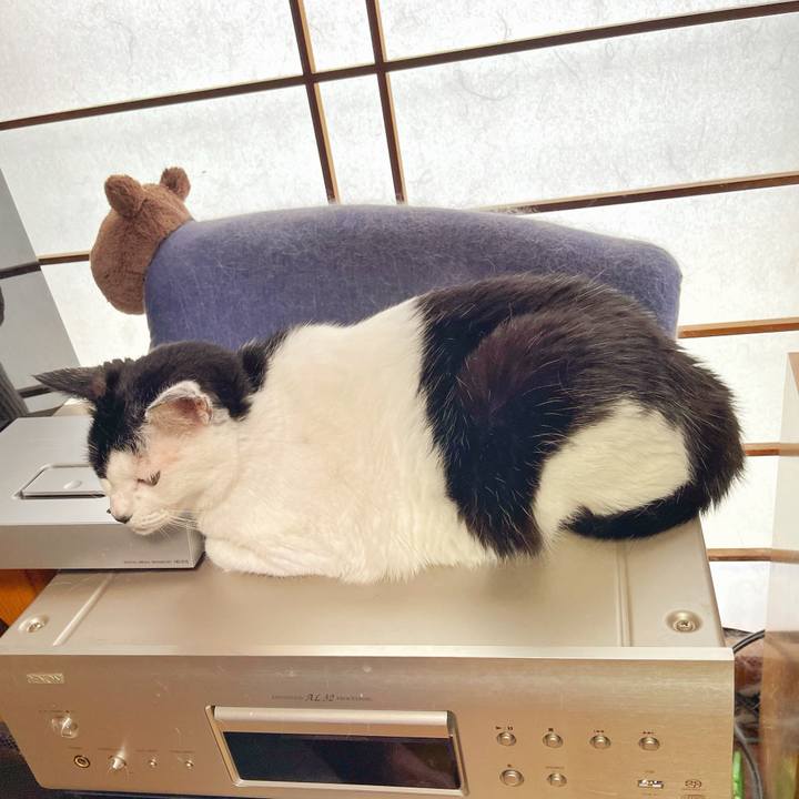 69007ff4 dc2c 4ee8 b02d 14e6f1a27d65 1752897308589