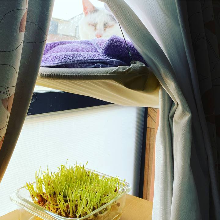 69007ff7 ed2e 4592 93b7 41dfd80b0eb6 1585284526873