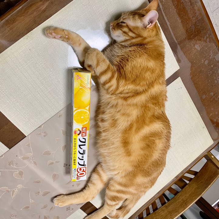 69009071 8b63 4fcc b34f 2d56e65dfd84 1585057351349