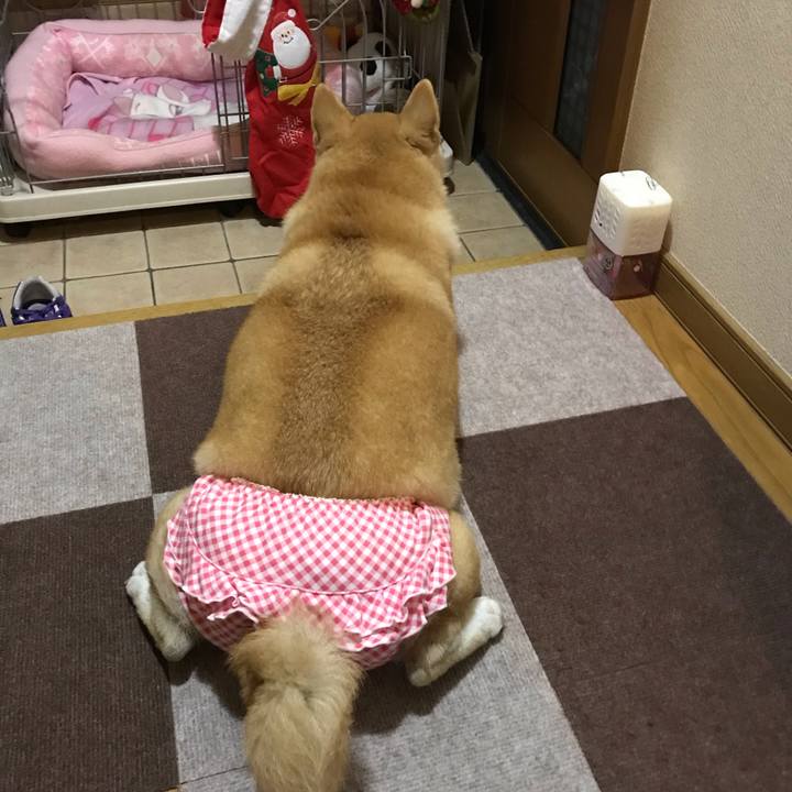 69013dfb 575e 47c7 8075 a9d7123c4ce7 1544703031649