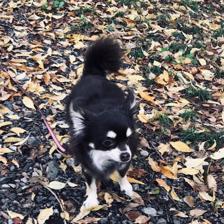 69019144 8921 4bf7 838d e835911283e6 1541556705231