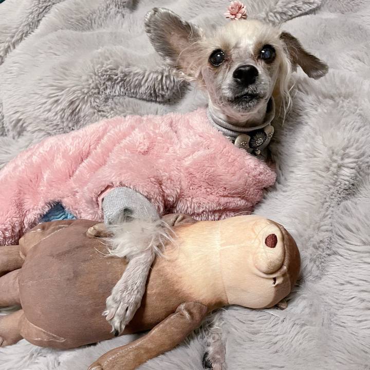 6901948c 2f58 4fb0 8281 71946f465f8f 1769596551723