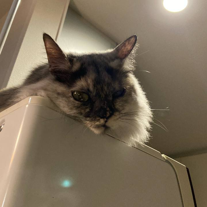 6901aefc 0d3e 4d62 a9bf e52a838dddcc 1730976407930