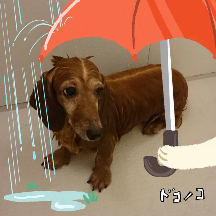 690240ca 26cc 4a4e 9daf fc468c8f6d1c 1749487322042