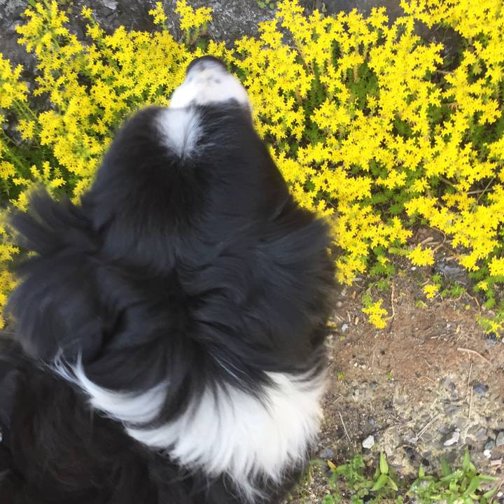 69024823 ac1d 432a 8789 85a0d2085864 1589413086817