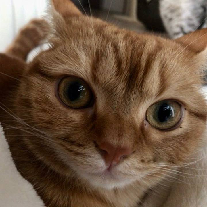 690283a0 b47a 4c86 a830 ba2bfb5ba647 1521255688094