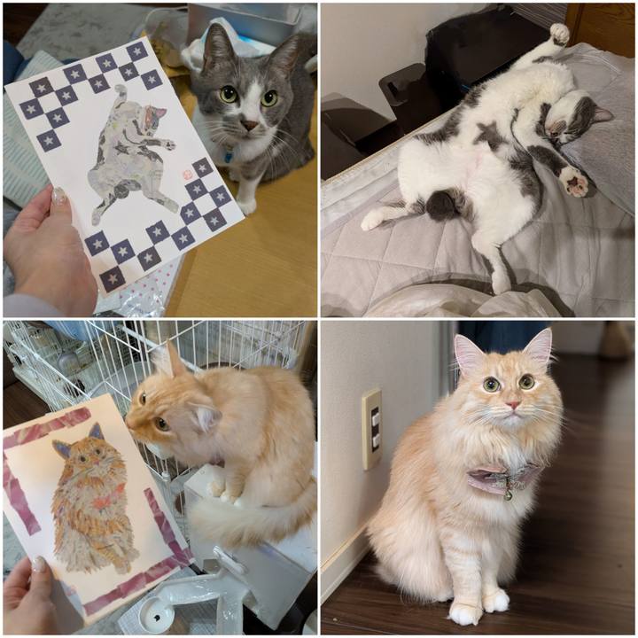 69029df7 4513 4206 83f7 bf2b782364d8 1734429864235