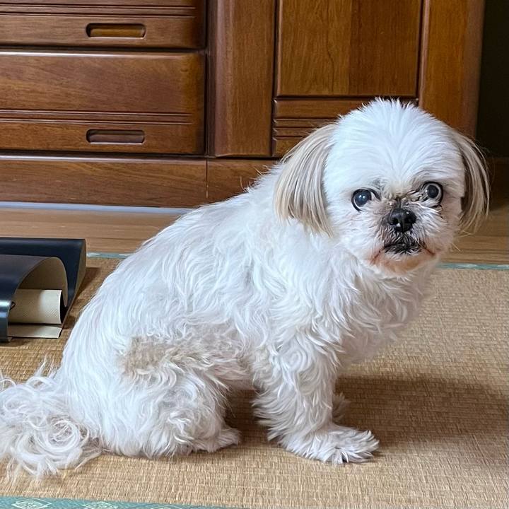 6902e591 7aa9 48fc 97ba 6108be57f688 1681524962699