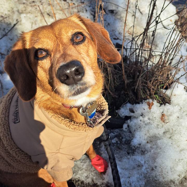 6902efc8 a88d 4be6 b4a3 f7a3b5d8a765 1772664851967