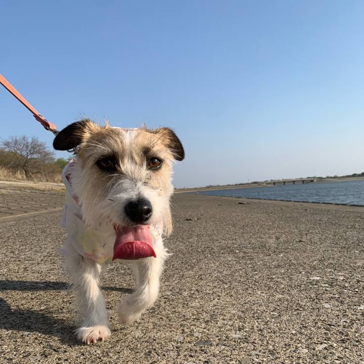 690345e3 8311 4af4 93dc 4e2b481a0c54 1680351246672