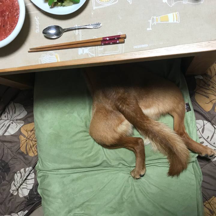 69037982 6812 436c a973 b54e4059a59d 1526851327120