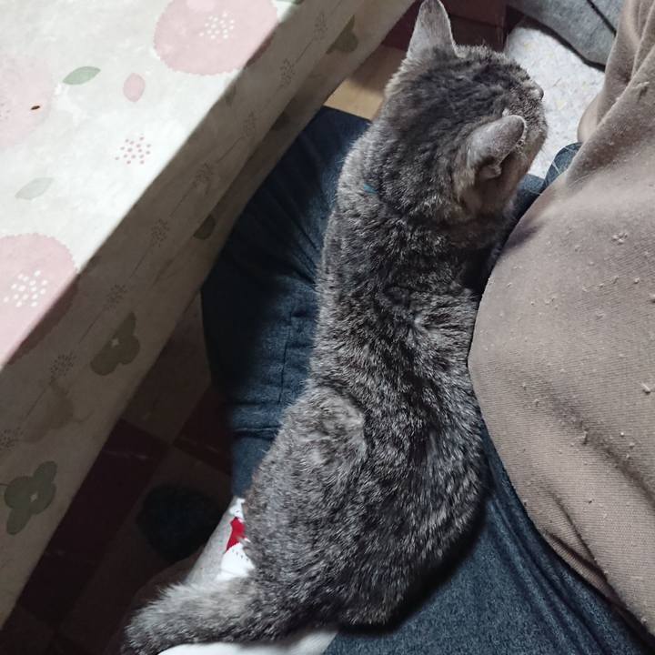 690391fe a40b 4571 a3a4 9eaf2387d47e 1575176540381