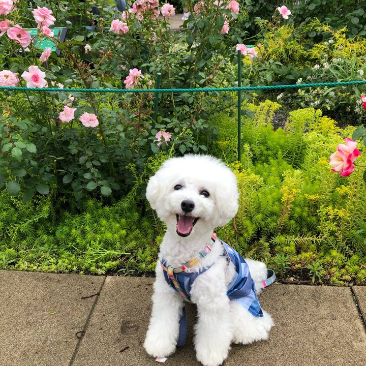 6903adce f9c4 4766 be30 e138887a1316 1562488284197