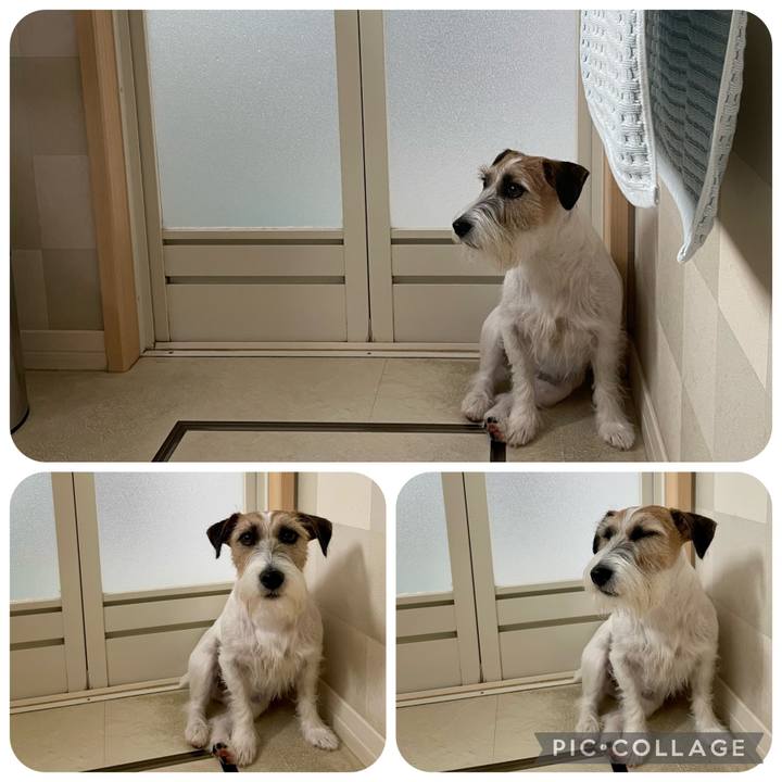 6903c95a 121a 4696 aba1 0cb5ab19ed11 1659850446049