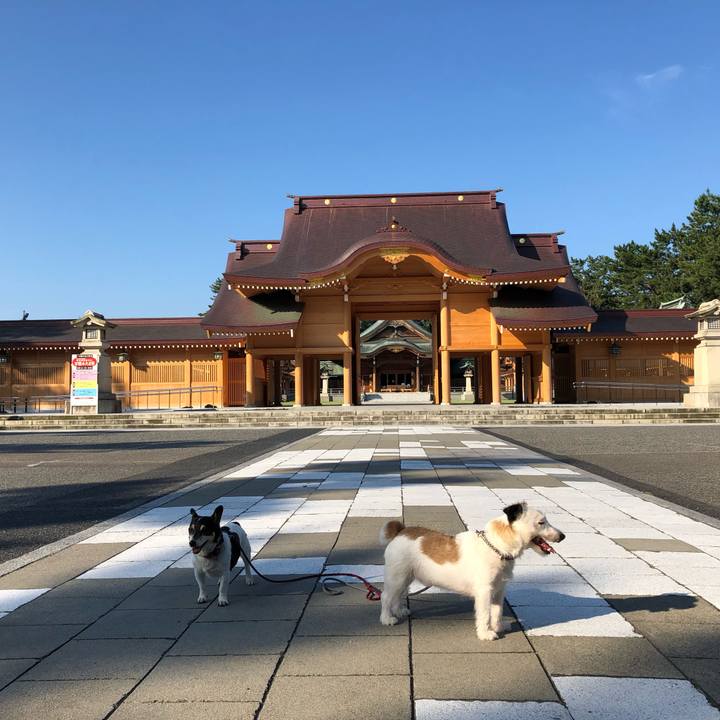 690401ee ebd1 4dd6 9c15 bec86a84048c 1564615915606