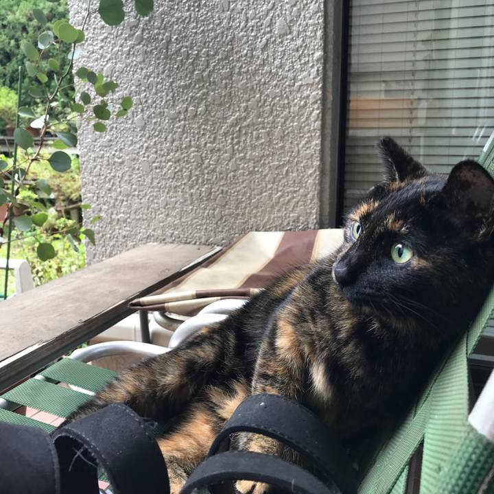 69041d1a 2ee3 4b41 a7c2 f3f091a65c49 1538727638294